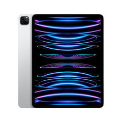 Планшет Apple iPad Pro Серебристый 256 GB 12,9" цена и информация | для планшетов | 220.lv