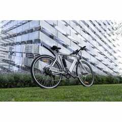 Elektriskais Divritenis Youin BK1500 NEW YORK; 250W цена и информация | Электровелосипеды | 220.lv