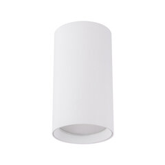 Белый потолочный светильник STRÜHM 100x55x55 мм цена и информация | Потолочные светильники | 220.lv