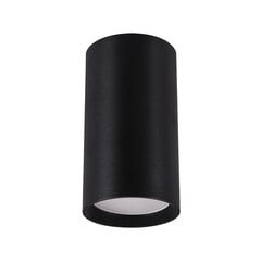 Черный потолочный светильник STRÜHM, 100x55x55 мм цена и информация | Потолочные светильники | 220.lv
