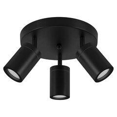 Черный настенно-потолочный светильник STRÜHM, 150x220x220 мм цена и информация | Потолочные светильники | 220.lv