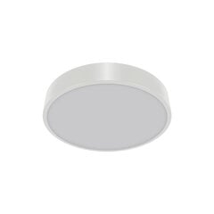 TOTEM c 16w nw balts 1590 lm griestu smd LED gaismas ķermeņi STRÜHM 55x300x300mm цена и информация | Монтируемые светильники, светодиодные панели | 220.lv