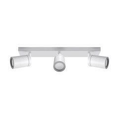 Белый настенно-потолочный светильник STRÜHM, 145x390x60 мм цена и информация | Потолочные светильники | 220.lv