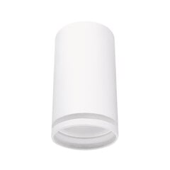 Белый потолочный светильник STRÜHM, 100x55x55 мм цена и информация | Потолочные светильники | 220.lv