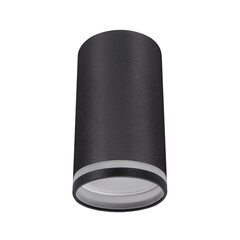 Черный потолочный светильник STRÜHM 100x55x55 мм цена и информация | Потолочные светильники | 220.lv