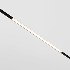 Maytoni Technical Track Lighting Basis TR030-2-12W3K-B Black цена и информация | Монтируемые светильники, светодиодные панели | 220.lv