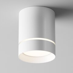 Maytoni Technical Griestu lampa Orlo C085CL-9W4K-W cena un informācija | Griestu lampas | 220.lv