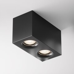 Maytoni Technical Griestu lampa Slim C013CL-02B цена и информация | Потолочные светильники | 220.lv