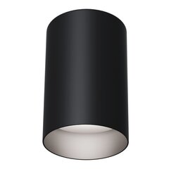 Maytoni Tehniskā griestu lampa Slim C014CL-01B цена и информация | Потолочные светильники | 220.lv