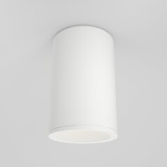 Maytoni Tehniskā griestu lampa Zoom C029CL-01-S-W cena un informācija | Griestu lampas | 220.lv