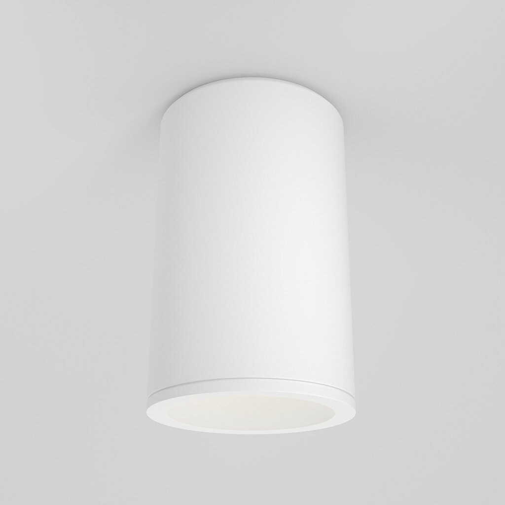 Maytoni Tehniskā griestu lampa Zoom C029CL-01-S-W cena un informācija | Griestu lampas | 220.lv