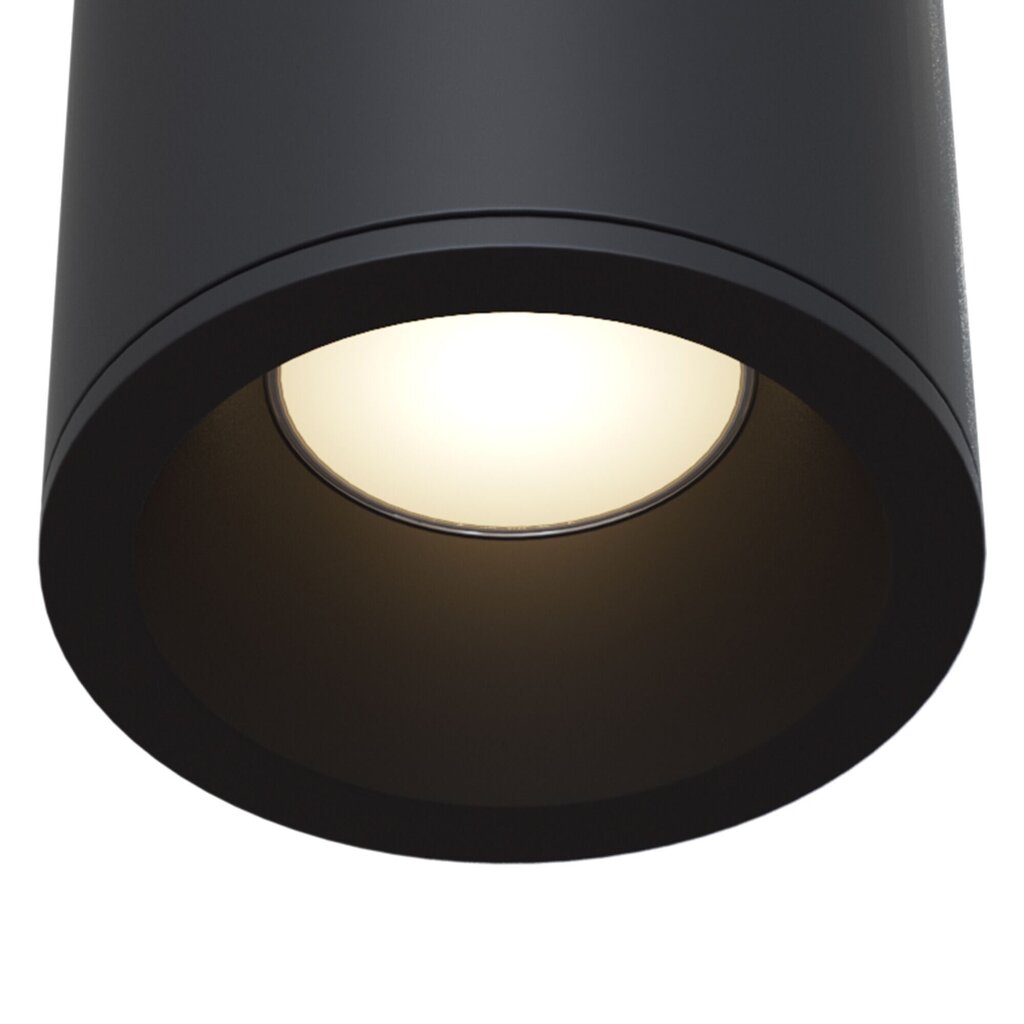 Maytoni Tehniskā griestu lampa Zoom C029CL-01B cena un informācija | Griestu lampas | 220.lv