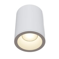 Maytoni Tehniskā griestu lampa Zoom C029CL-01W cena un informācija | Griestu lampas | 220.lv