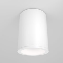 Maytoni Tehniskā griestu lampa Zoom C029CL-01W cena un informācija | Griestu lampas | 220.lv