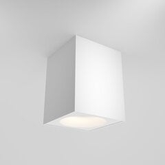 Maytoni Tehniskā griestu lampa Zoom C030CL-01W cena un informācija | Griestu lampas | 220.lv