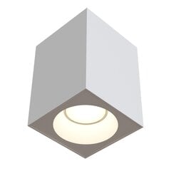 Maytoni Tehniskā griestu lampa Zoom C030CL-01W цена и информация | Потолочные светильники | 220.lv