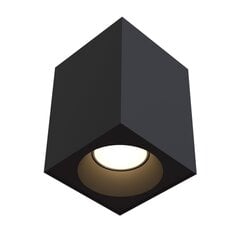 Maytoni Tehniskā griestu lampa Zoom C030CL-01B cena un informācija | Griestu lampas | 220.lv