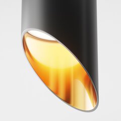 Maytoni Tehniskā griestu lampa Lipari C044CL-01-15GU10-B Melna ar zeltu cena un informācija | Griestu lampas | 220.lv