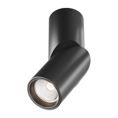 Технический потолочный светильник Maytoni Dafne C027CL-L10B4K цена и информация | Потолочные светильники | 220.lv