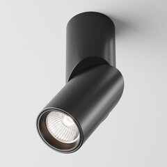 Maytoni Tehniskā griestu lampa Dafne C027CL-L10B4K Melna cena un informācija | Griestu lampas | 220.lv