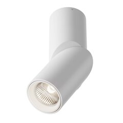 Maytoni Tehniskā griestu lampa Dafne C027CL-L10W4K Balta цена и информация | Потолочные светильники | 220.lv