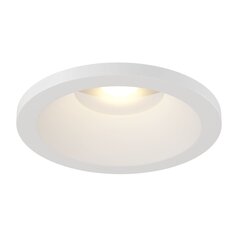 Lampa Maytoni TZoom DL034-L12W3K-D-W цена и информация | Монтируемые светильники, светодиодные панели | 220.lv