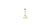 Candellux piekaramā lampa Scena cena un informācija | Griestu lampas | 220.lv