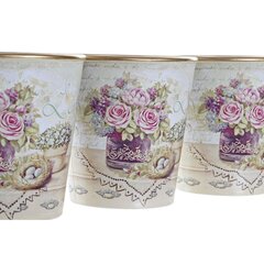 DKD Home Decor 38 x 12 x 14 cm   PVC Shabby Chic (3 ) цена и информация | Ящики для рассады | 220.lv