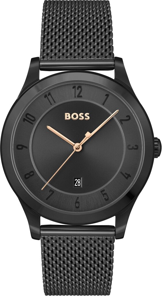 Vīriešu pulkstenis Hugo Boss 1513986 цена и информация | Vīriešu pulksteņi | 220.lv