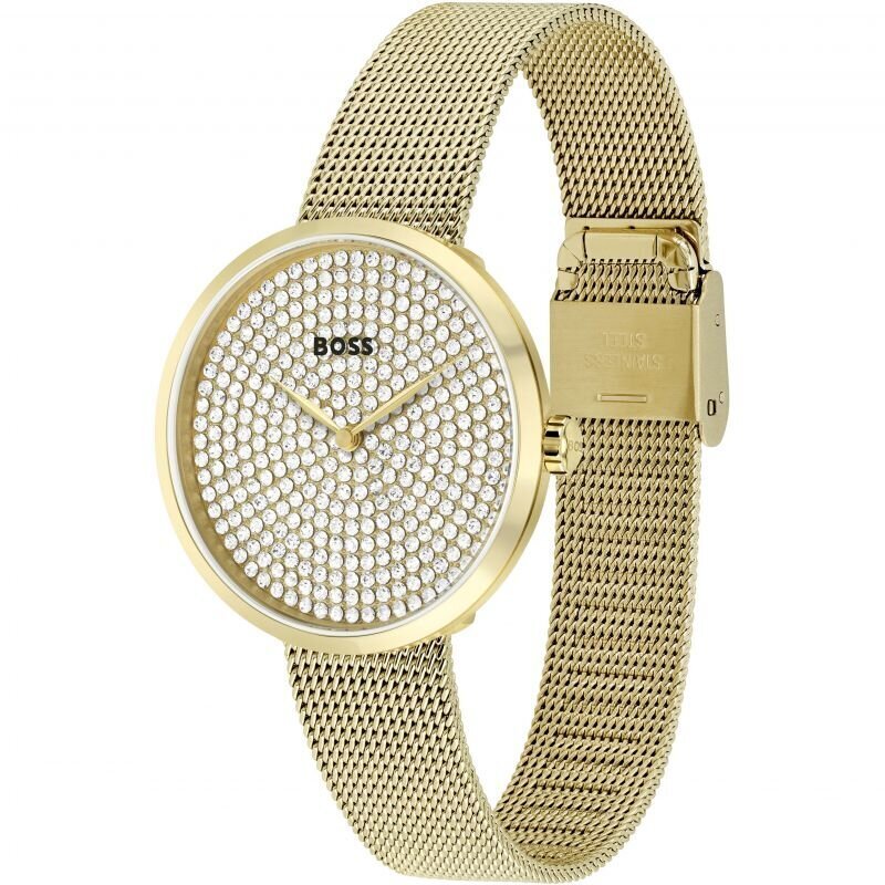 Vīriešu pulkstenis Hugo Boss 1502659 cena un informācija | Sieviešu pulksteņi | 220.lv