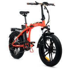 Электрический велосипед Youin BK1600O DUBAI 20" 250Вт 10000 MAH 25 км/ч цена и информация | Электровелосипеды | 220.lv
