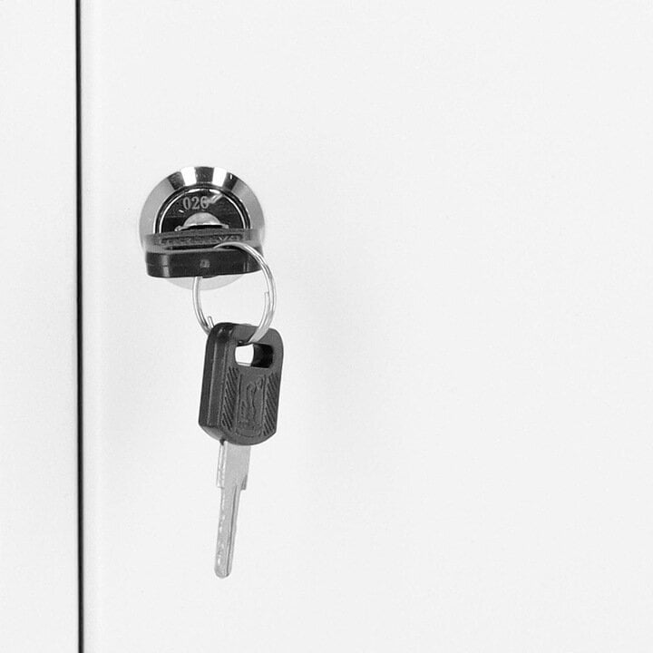 Skapītis atslēgām Springos HA5034 (42 piekariņi), 27x8x35 cm cena un informācija | Seifi | 220.lv