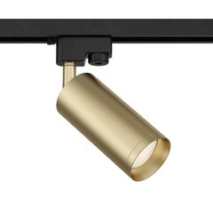 Lampa Maytoni Focus TR004-1-GU10-MG Matēts zelts cena un informācija | Iebūvējamās lampas, LED paneļi | 220.lv