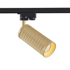 Lampa Maytoni Focus Design TR011-1-GU10-G Zelts cena un informācija | Iebūvējamās lampas, LED paneļi | 220.lv