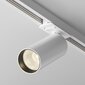 Lampa Maytoni Focus LED TR021-1-12W3K-W-D-W Balts цена и информация | Iebūvējamās lampas, LED paneļi | 220.lv