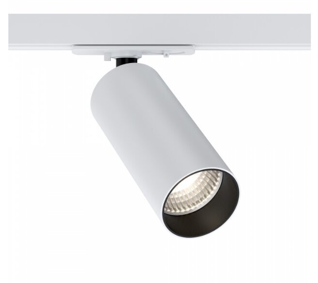 Lampa Maytoni Focus LED TR021-1-12W4K-W-D-W цена и информация | Iebūvējamās lampas, LED paneļi | 220.lv