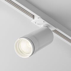 Lampa Maytoni Focus Zoom TR021-1-12B3K-Z-W cena un informācija | Iebūvējamās lampas, LED paneļi | 220.lv