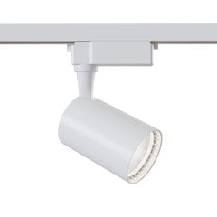 Lampa Maytoni Vuoro TR003-1-10W3K-S-W cena un informācija | Iebūvējamās lampas, LED paneļi | 220.lv