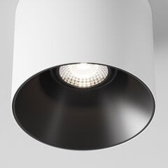 Maytoni Technical Griestu lampa Alfa LED C064CL-01-25W4K-D-RD-WB Balts un melns cena un informācija | Griestu lampas | 220.lv