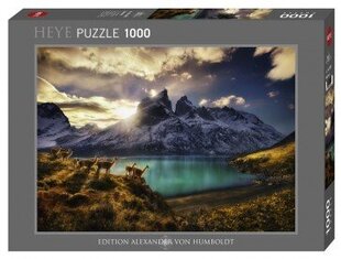 Puzle 1000 Marc Adamus: Guanacos cena un informācija | Puzles, 3D puzles | 220.lv