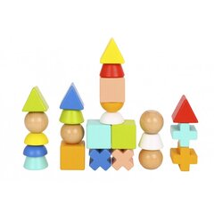 Деревянные кубики различной формы Tooky Toy цена и информация | Развивающие игрушки | 220.lv
