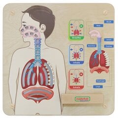Учебная доска Монтессори система дыхания MASTERKIDZ  цена и информация | Развивающие игрушки | 220.lv