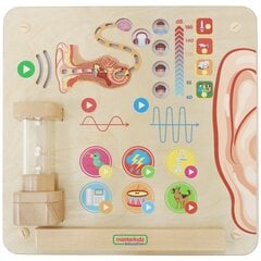 Izglītojoša dzirdes un maņu spēle cena un informācija | Attīstošās rotaļlietas | 220.lv