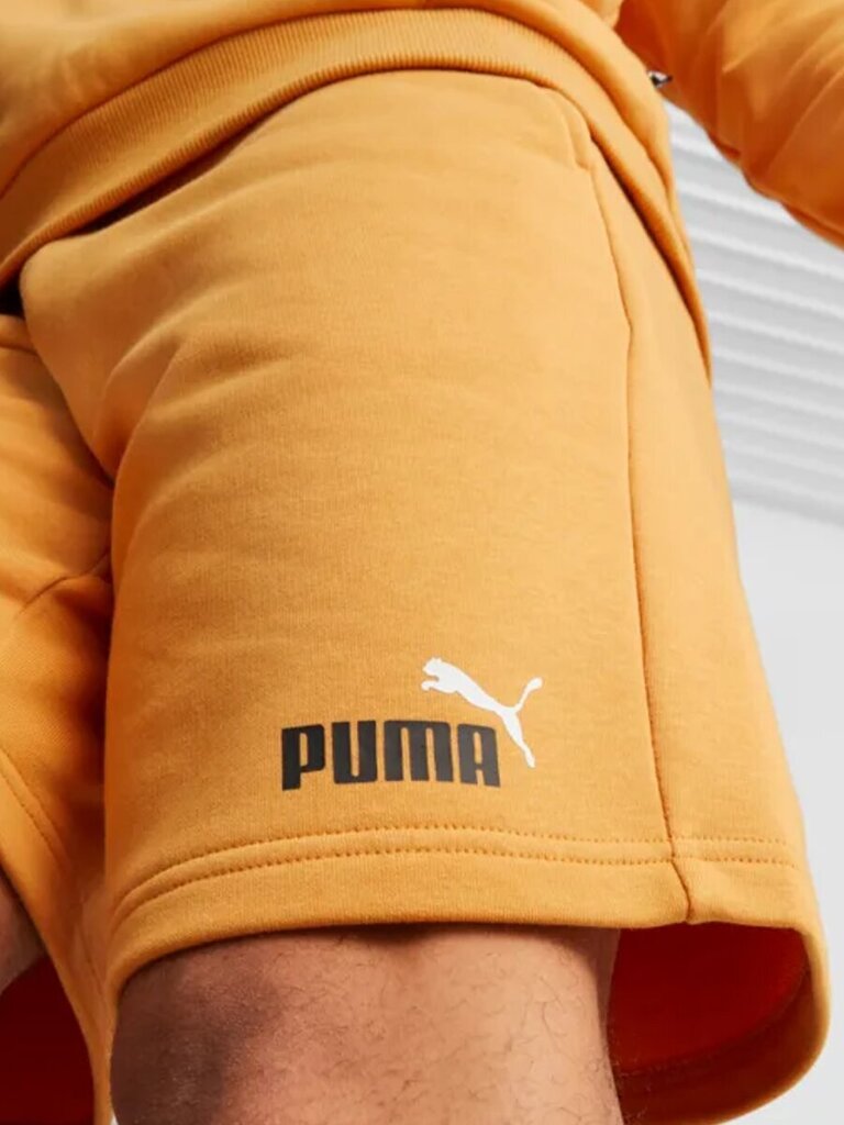 Puma vīriešu šorti Essentials+ Two-Tone 234238319, dzelteni cena un informācija | Vīriešu šorti | 220.lv