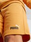 Puma vīriešu šorti Essentials+ Two-Tone 234238319, dzelteni cena un informācija | Vīriešu šorti | 220.lv