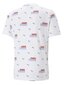 Puma T-krekls vīriešiem Essentials+ Logo Power Printed 234238384, balts цена и информация | Vīriešu T-krekli | 220.lv