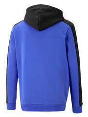 PUMA Essentials Block Tape Royal Sapphir 234238378 цена и информация | Мужские толстовки | 220.lv