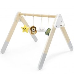 Viga PolarB   Baby Gym цена и информация | Игрушки для малышей | 220.lv