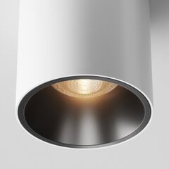 Maytoni Tehniskā griestu lampa Alfa LED C064CL-L12W3K-D Balta cena un informācija | Griestu lampas | 220.lv