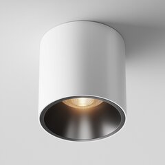 Maytoni Tehniskā griestu lampa Alfa LED C064CL-L12W3K-D Balta цена и информация | Потолочные светильники | 220.lv